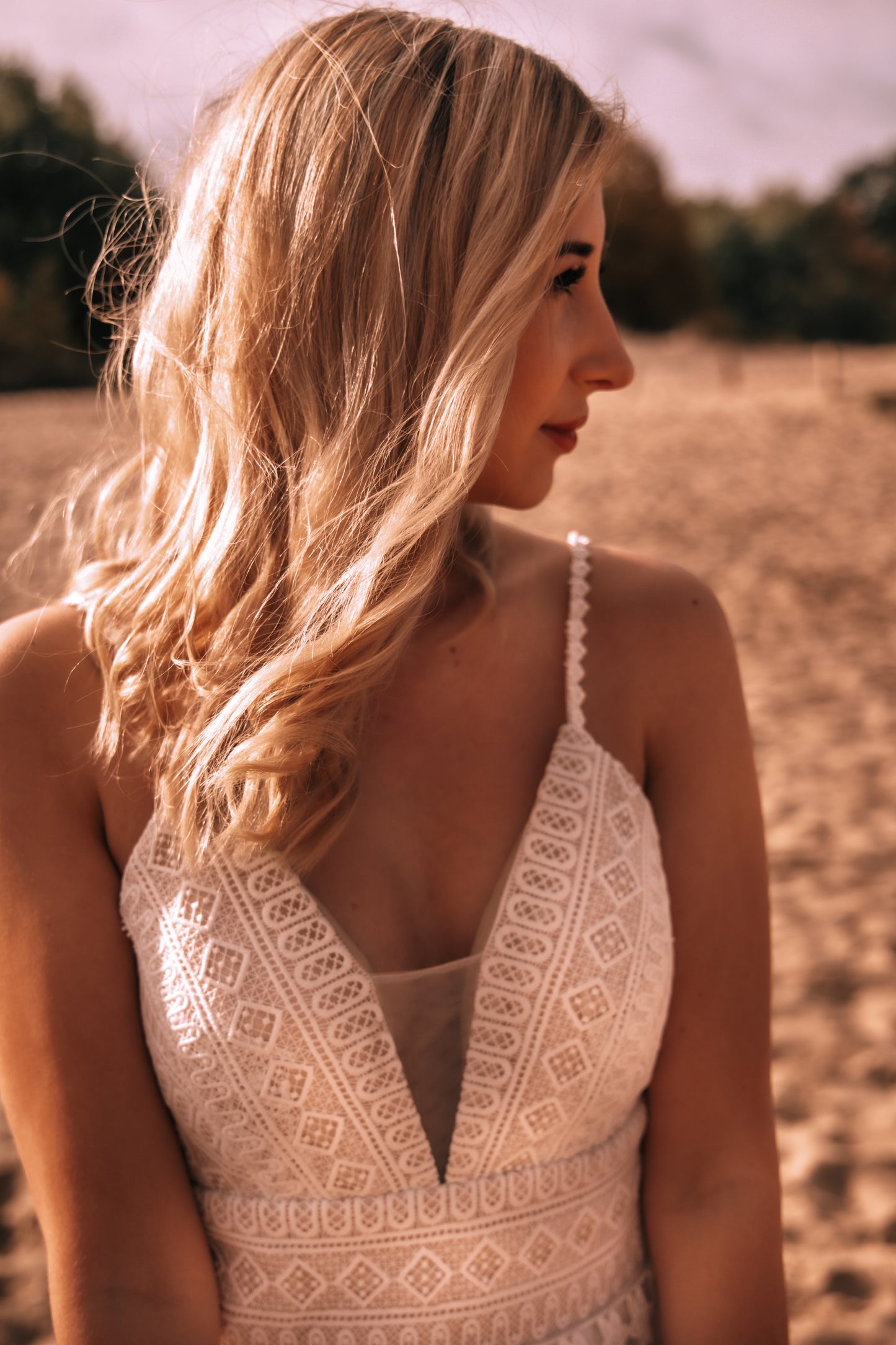 Sunset Dream
