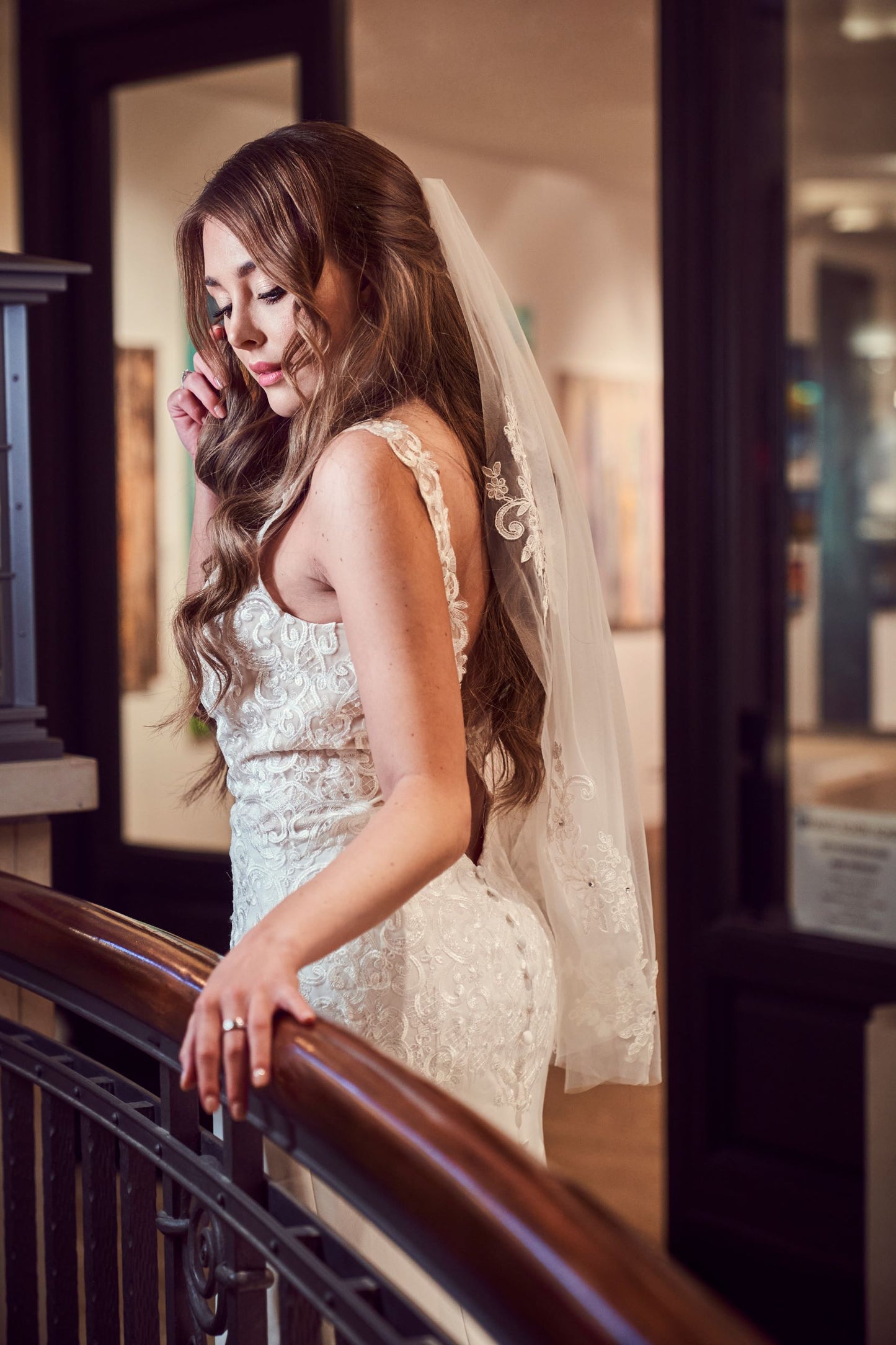 Lady´s Lace